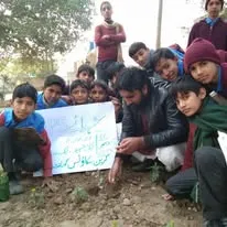 Green Seekers Activity